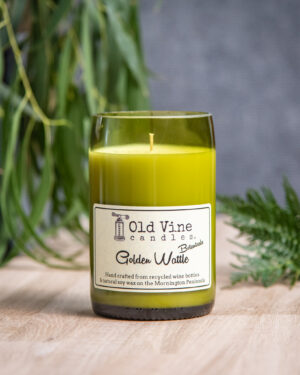 GOLDEN WATTLE