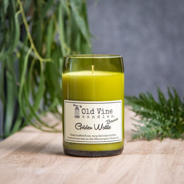 GOLDEN WATTLE