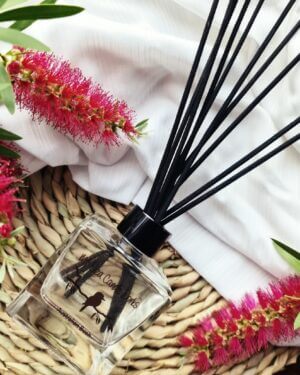 2 Pack Reed Diffusers